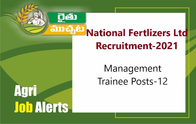నేషనల్ ఫర్టీలైజర్స్ లిమిటెడ్ లో మేనేజ్ మెంట్ ట్రైనీ పోస్టులకు నోటిఫికేషన్