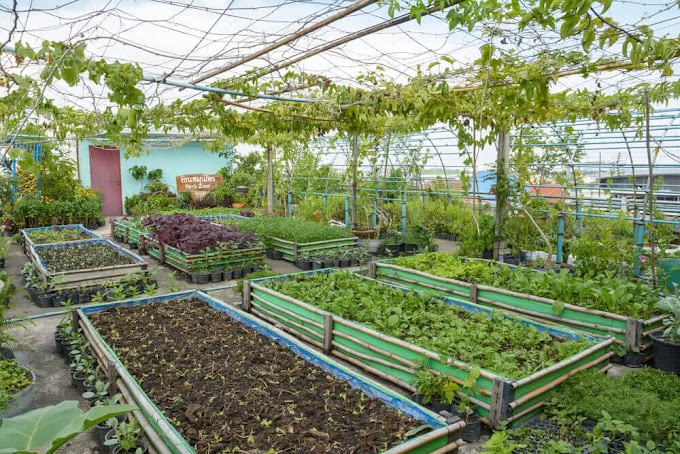 అర్బన్ ఫార్మింగ్/టెర్రాస్ గార్డెనింగ్ పై శిక్షణ కార్యాక్రమం